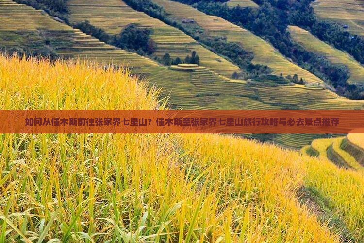 如何从佳木斯前往张家界七星山？佳木斯至张家界七星山旅行攻略与必去景点推荐