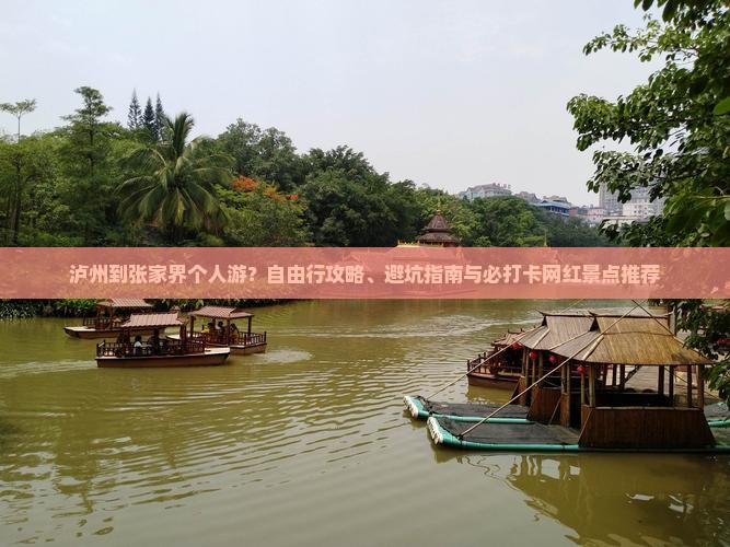 泸州到张家界个人游？自由行攻略、避坑指南与必打卡网红景点推荐