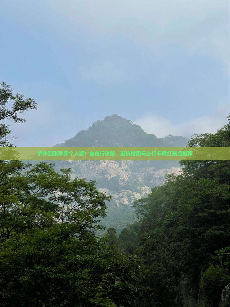 泸州到张家界个人游？自由行攻略、避坑指南与必打卡网红景点推荐