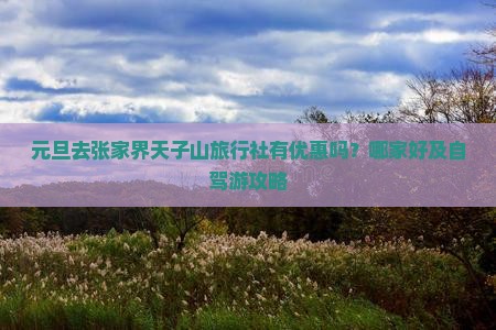 元旦去张家界天子山旅行社有优惠吗？哪家好及自驾游攻略