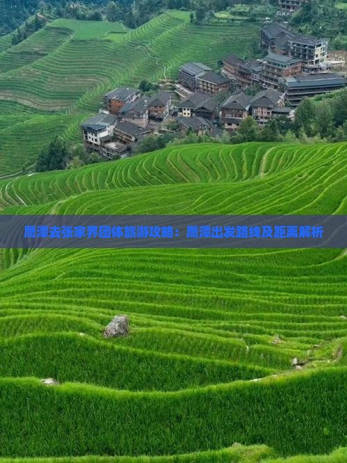 鹰潭去张家界团体旅游攻略：鹰潭出发路线及距离解析