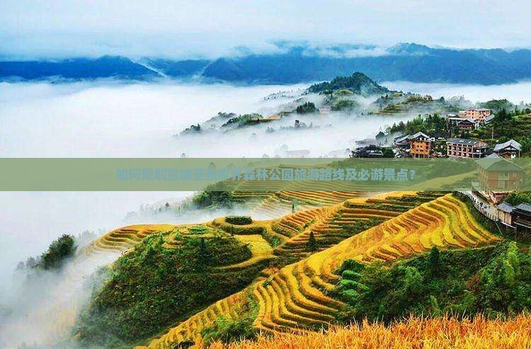 如何规划宣城至张家界森林公园旅游路线及必游景点？