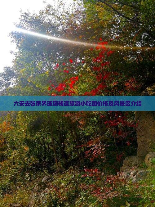六安去张家界玻璃栈道旅游小吃团价格及风景区介绍