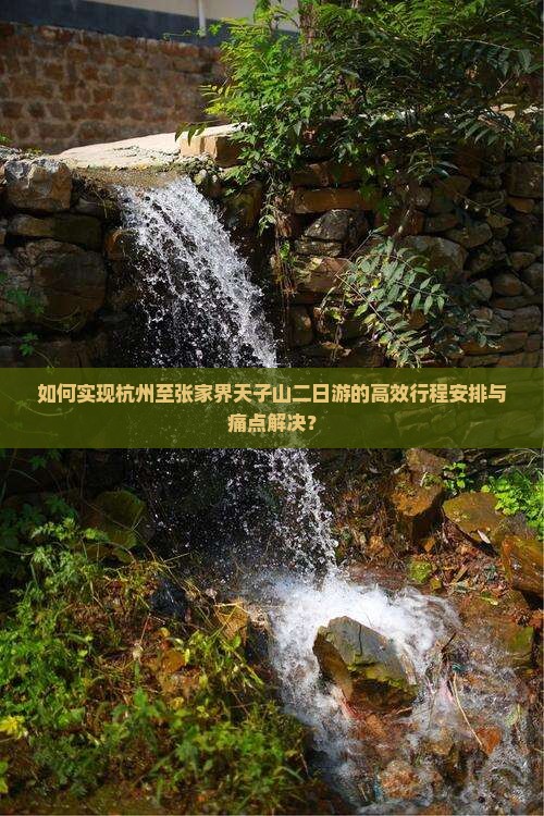 如何实现杭州至张家界天子山二日游的高效行程安排与痛点解决？