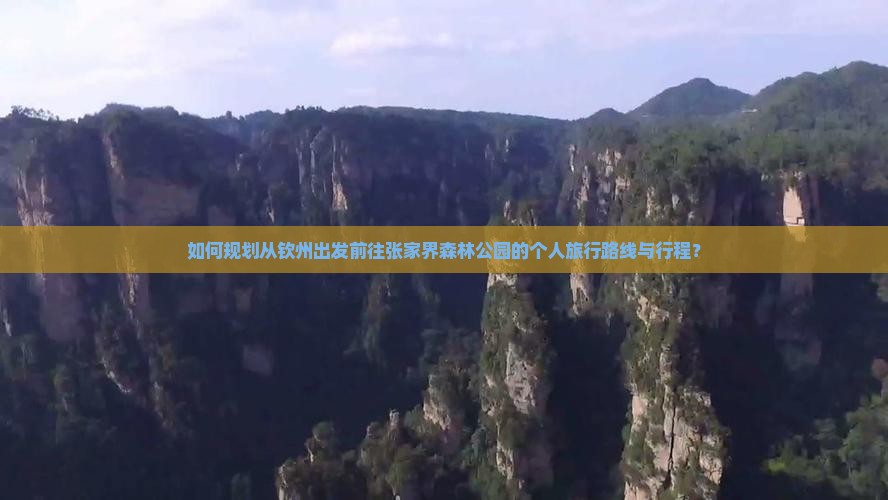如何规划从钦州出发前往张家界森林公园的个人旅行路线与行程？