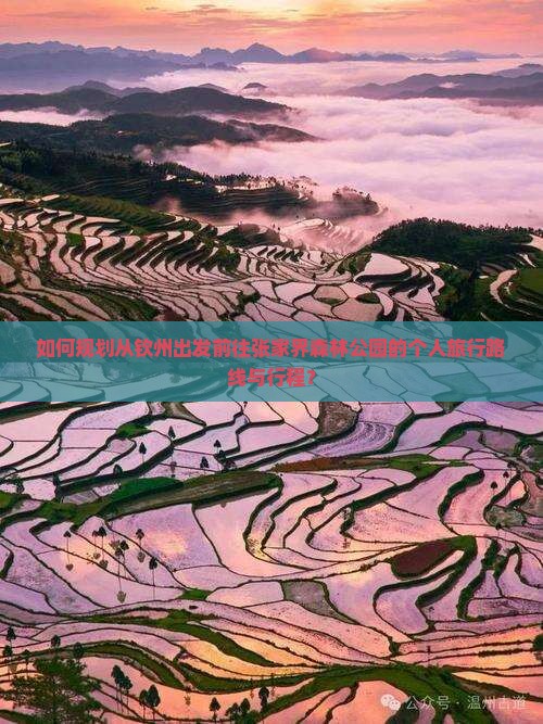 如何规划从钦州出发前往张家界森林公园的个人旅行路线与行程？