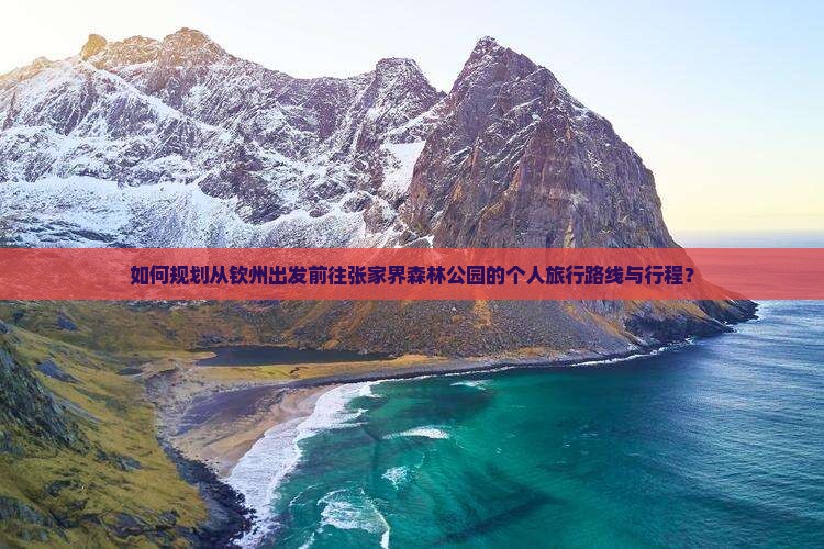 如何规划从钦州出发前往张家界森林公园的个人旅行路线与行程？