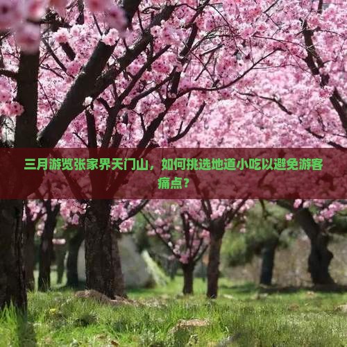 三月游览张家界天门山，如何挑选地道小吃以避免游客痛点？
