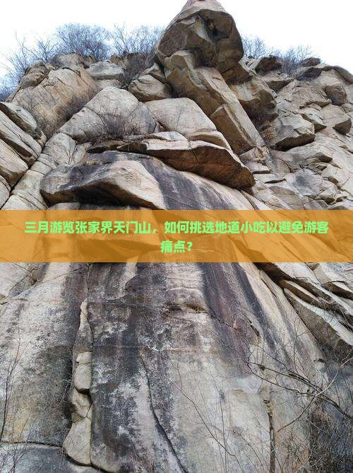 三月游览张家界天门山，如何挑选地道小吃以避免游客痛点？