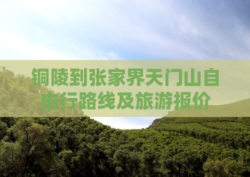铜陵到张家界天门山自由行路线及旅游报价