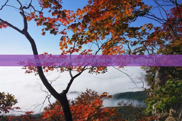石嘴山去张家界凤凰古城旅游小吃
