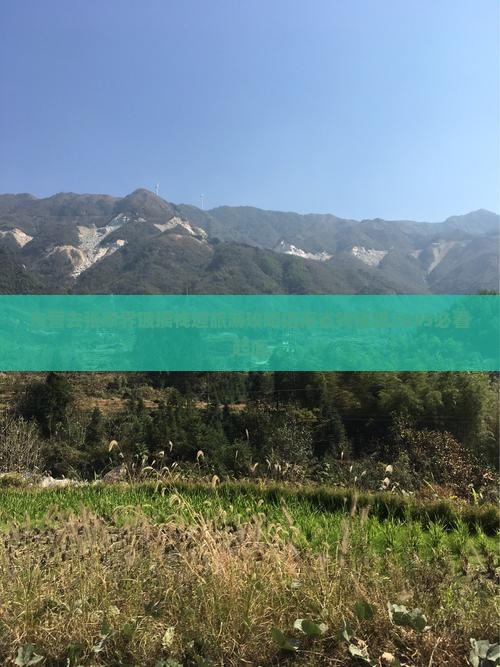 东营去张家界玻璃栈道旅游