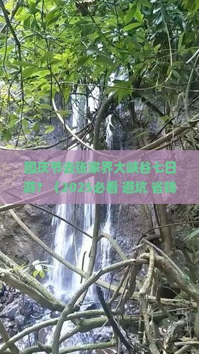 国庆节去张家界大峡谷七日游