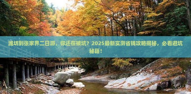 潍坊到张家界二日游