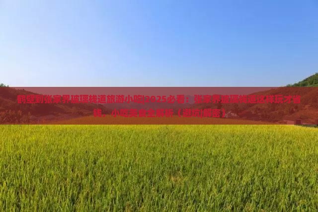 鹤壁到张家界玻璃栈道旅游小吃