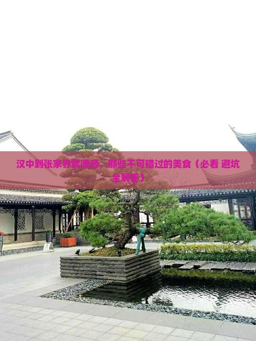 汉中到张家界武陵源旅游小吃