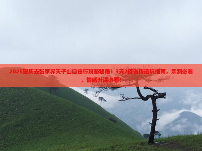 肇庆去张家界天子山自由行