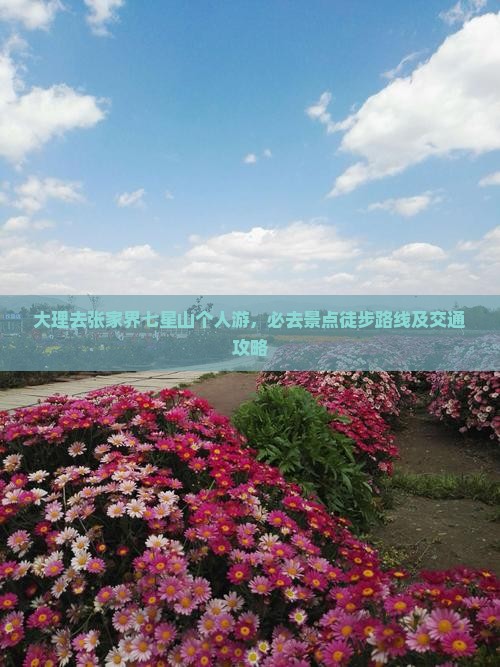 大理去张家界七星山个人游