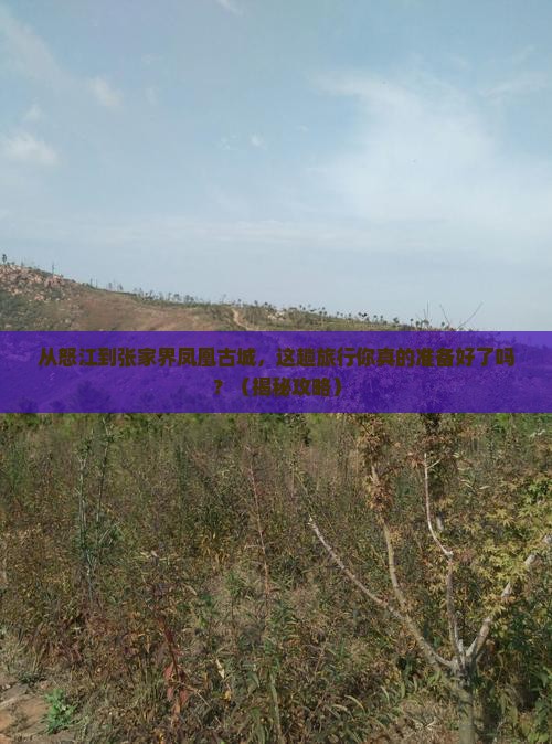 怒江去张家界凤凰古城大型旅游团