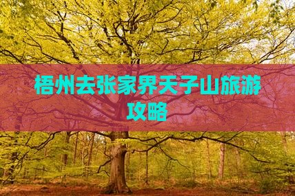 梧州去张家界天子山团体旅游