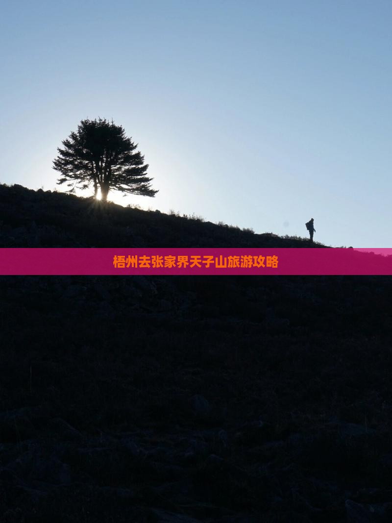 梧州去张家界天子山团体旅游