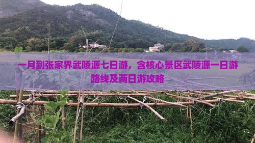 一月到张家界武陵源七日游