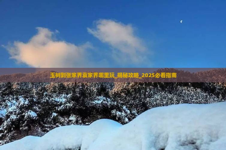 玉树到张家界袁家界哪里玩