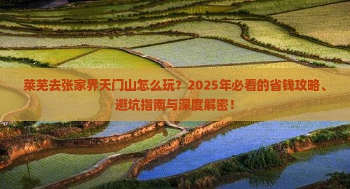 莱芜去张家界天门山旅行社