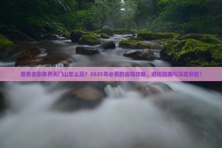莱芜去张家界天门山旅行社