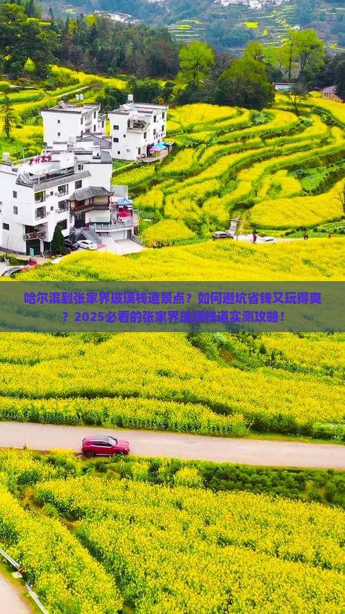 哈尔滨到张家界玻璃栈道景点