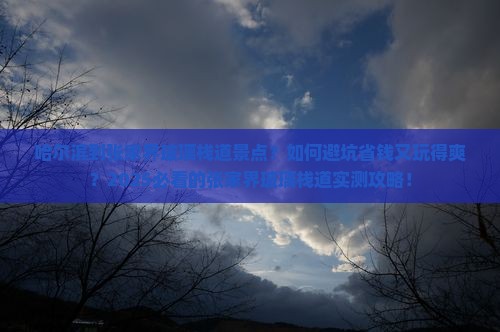 哈尔滨到张家界玻璃栈道景点