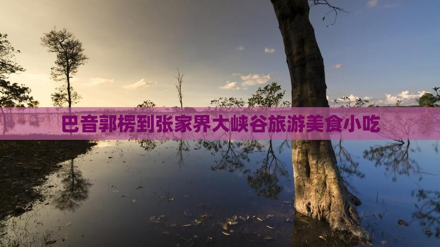 巴音郭楞到张家界大峡谷旅游小吃