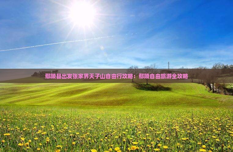 鄢陵县到张家界天子山自由行