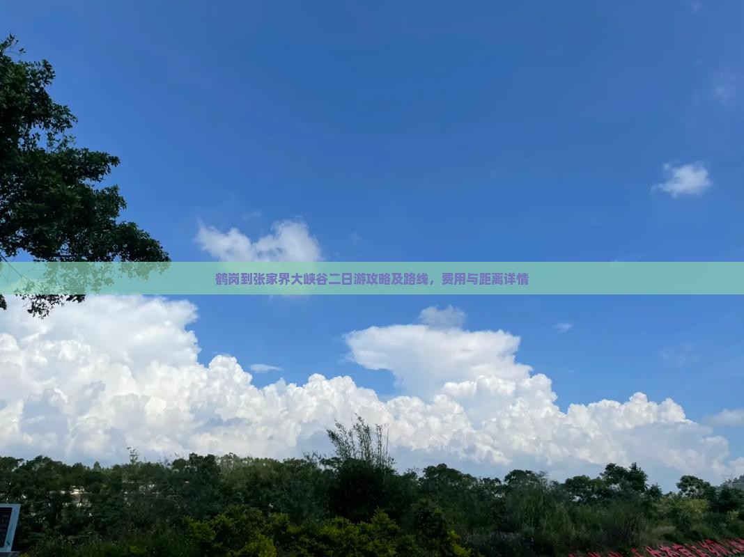 鹤岗到张家界大峡谷二日游