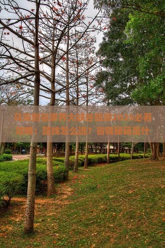 乌海到张家界大峡谷旅游