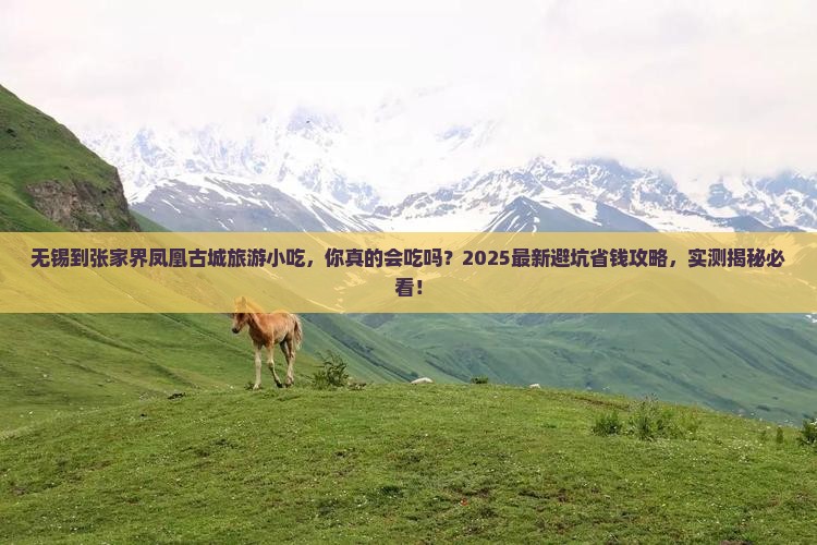 无锡到张家界凤凰古城旅游小吃