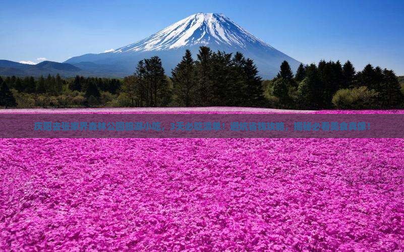 庆阳去张家界森林公园旅游小吃