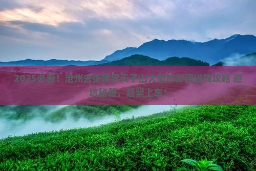 沧州去张家界天子山大型旅游团