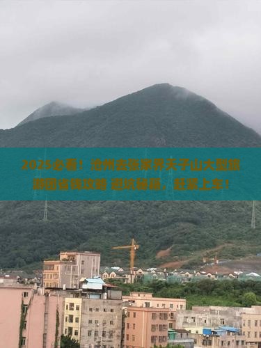 沧州去张家界天子山大型旅游团