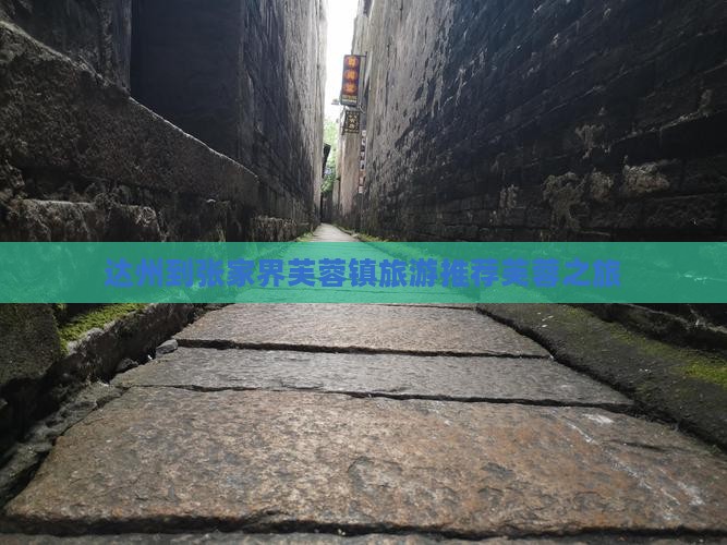 达州去张家界芙蓉镇旅行社