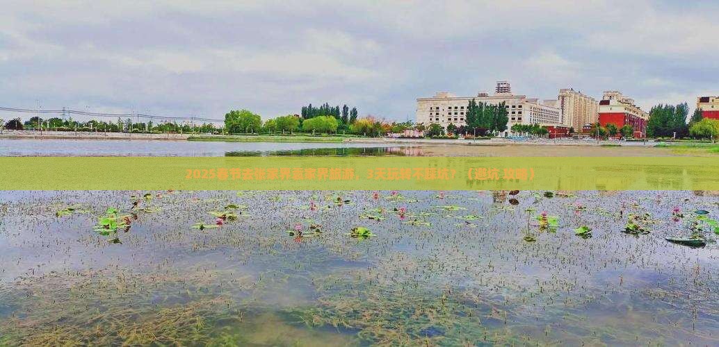 春节到张家界袁家界旅游