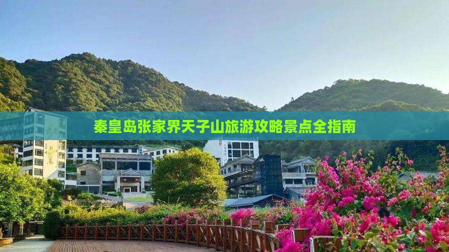 秦皇岛到张家界天子山攻略