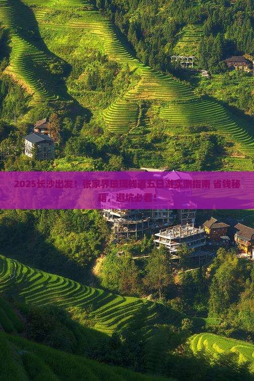 长沙去张家界玻璃栈道五日游
