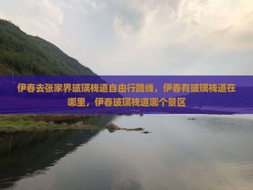 伊春去张家界玻璃栈道自由行