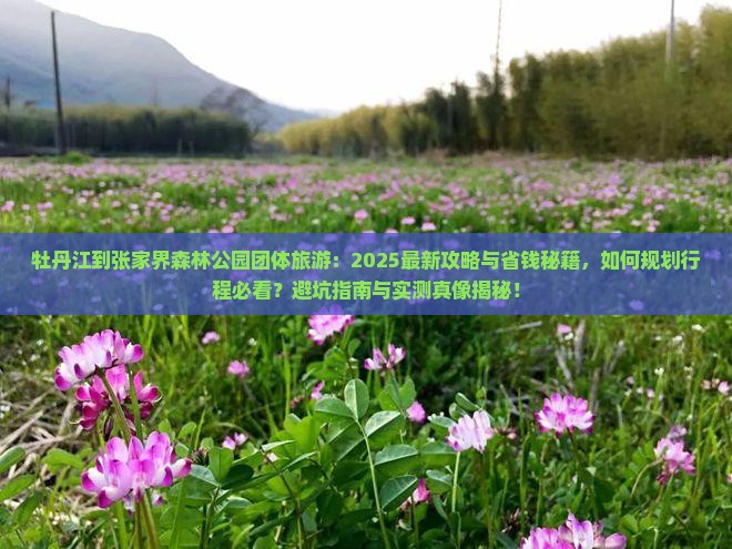 牡丹江到张家界森林公园团体旅游