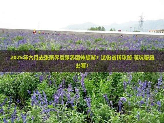 六月去张家界袁家界团体旅游