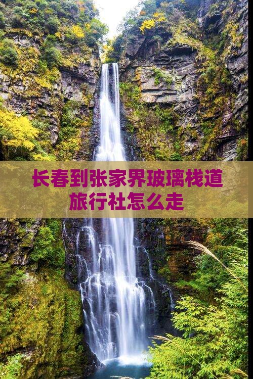 长春到张家界玻璃栈道旅行社