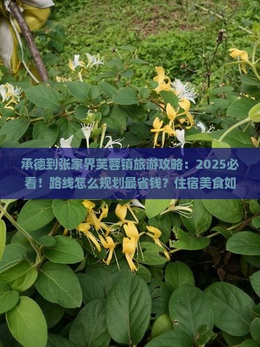 承德到张家界芙蓉镇旅游