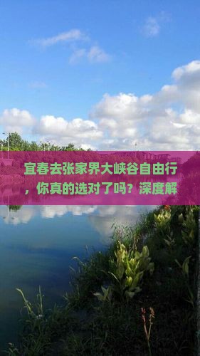 宜春去张家界大峡谷自由行