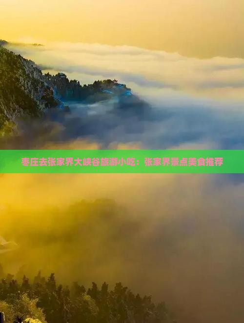 枣庄去张家界大峡谷旅游小吃